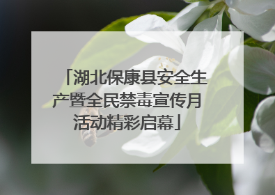 湖北保康县安全生产暨全民禁毒宣传月活动精彩启幕