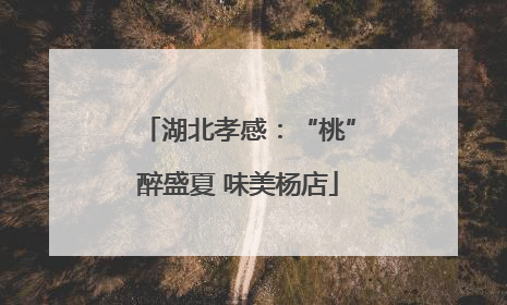 湖北孝感：“桃”醉盛夏 味美杨店