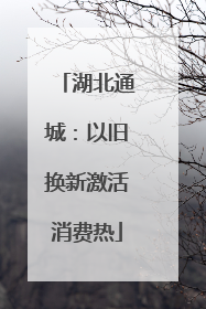 湖北通城：以旧换新激活消费热