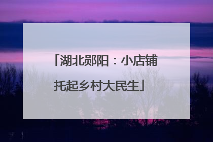 湖北郧阳：小店铺托起乡村大民生