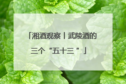 湘酒观察丨武陵酒的三个“五十三 ”