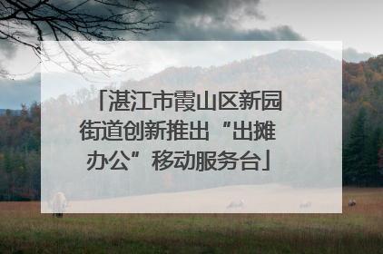 湛江市霞山区新园街道创新推出“出摊办公”移动服务台