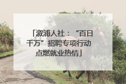 溆浦人社：“百日千万”招聘专项行动点燃就业热情