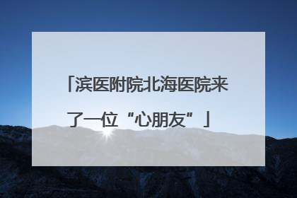 滨医附院北海医院来了一位“心朋友”