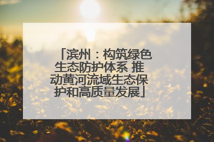 滨州：构筑绿色生态防护体系 推动黄河流域生态保护和高质量发展