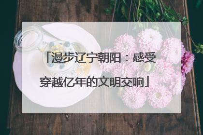 漫步辽宁朝阳：感受穿越亿年的文明交响