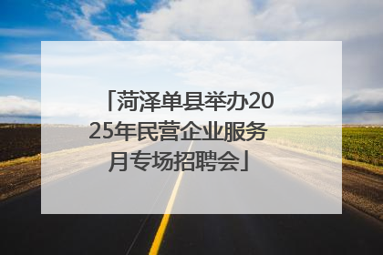 菏泽单县举办2025年民营企业服务月专场招聘会