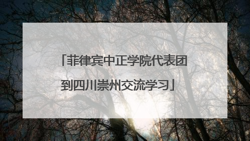 菲律宾中正学院代表团到四川崇州交流学习