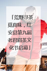 荒野寻茶觅真味，红安县第九届老君眉茶文化节启幕