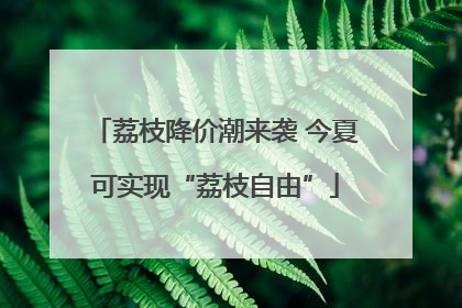 荔枝降价潮来袭 今夏可实现“荔枝自由”