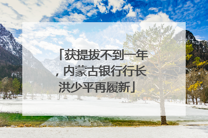获提拔不到一年，内蒙古银行行长洪少平再履新