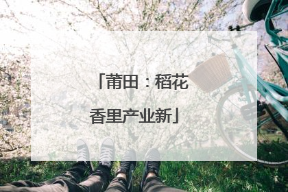莆田：稻花香里产业新