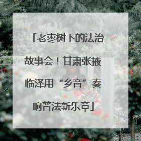 老枣树下的法治故事会！甘肃张掖临泽用“乡音”奏响普法新乐章