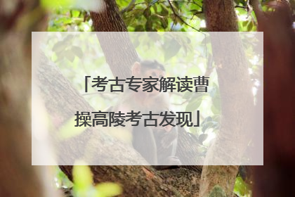 考古专家解读曹操高陵考古发现