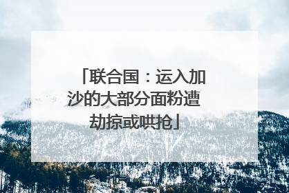 联合国：运入加沙的大部分面粉遭劫掠或哄抢