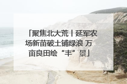 聚焦北大荒丨延军农场新苗破土铺绿浪 万亩良田绘“丰”景