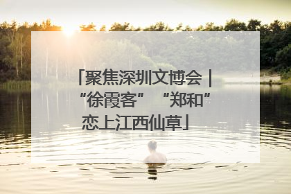 聚焦深圳文博会｜“徐霞客”“郑和”恋上江西仙草