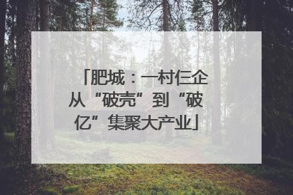肥城：一村仨企从“破壳”到“破亿”集聚大产业