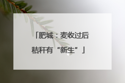 肥城：麦收过后秸秆有“新生”