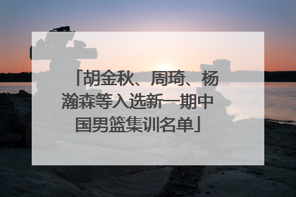 胡金秋、周琦、杨瀚森等入选新一期中国男篮集训名单