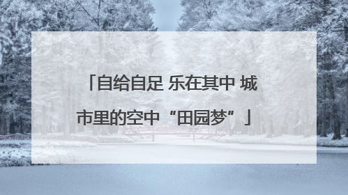 自给自足 乐在其中 城市里的空中“田园梦”