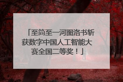 至简至一河图洛书斩获数字中国人工智能大赛全国二等奖！