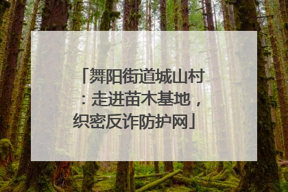 舞阳街道城山村：走进苗木基地，织密反诈防护网