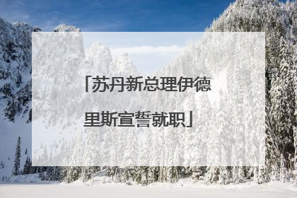 苏丹新总理伊德里斯宣誓就职
