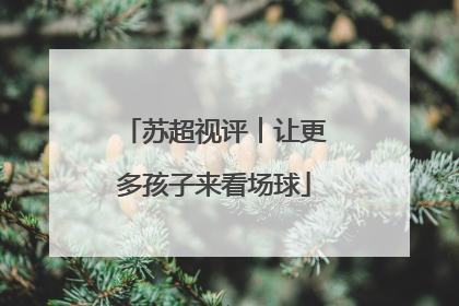 苏超视评︱让更多孩子来看场球