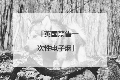 英国禁售一次性电子烟