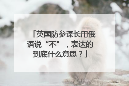 英国防参谋长用俄语说“不”，表达的到底什么意思？