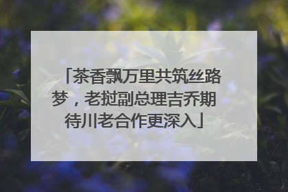 茶香飘万里共筑丝路梦，老挝副总理吉乔期待川老合作更深入