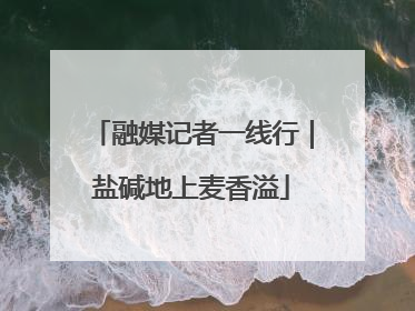 融媒记者一线行｜盐碱地上麦香溢