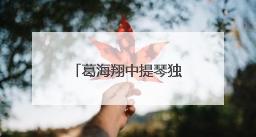 葛海翔中提琴独奏音乐会在苏州第六中学精彩举行