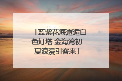 蓝紫花海邂逅白色灯塔 金海湾初夏浪漫引客来