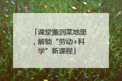 课堂搬到菜地里，解锁“劳动+科学”新课程