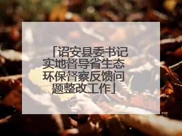 诏安县委书记实地督导省生态环保督察反馈问题整改工作