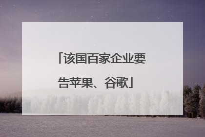 该国百家企业要告苹果、谷歌