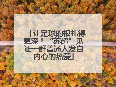让足球的根扎得更深！“苏超”见证一群普通人发自内心的热爱