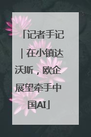 记者手记｜在小镇达沃斯，欧企展望牵手中国AI
