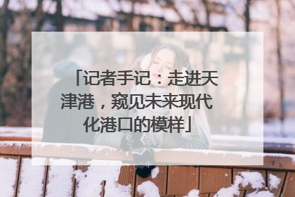 记者手记：走进天津港，窥见未来现代化港口的模样