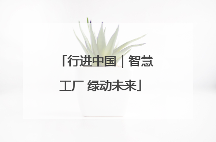 行进中国｜智慧工厂 绿动未来