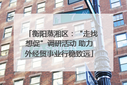 衡阳蒸湘区：“走找想促”调研活动 助力外经贸事业行稳致远