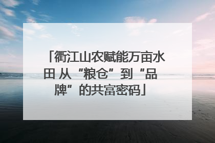 衢江山农赋能万亩水田 从“粮仓”到“品牌”的共富密码