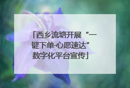 西乡流塘开展“一键下单·心愿速达”数字化平台宣传