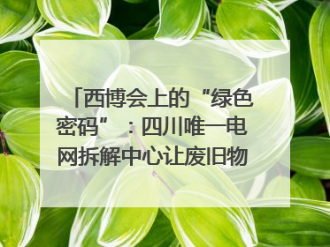 西博会上的“绿色密码”：四川唯一电网拆解中心让废旧物资“重生”｜西博寻“新”记