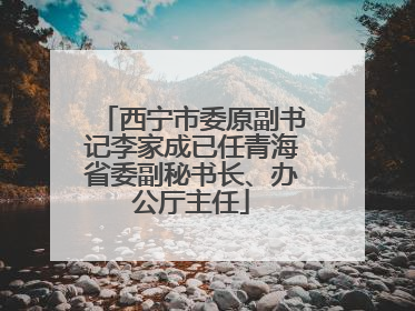 西宁市委原副书记李家成已任青海省委副秘书长、办公厅主任
