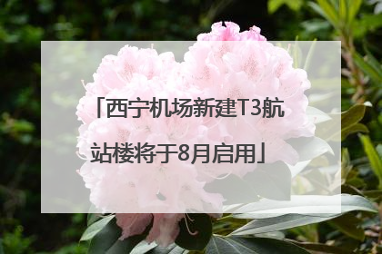 西宁机场新建T3航站楼将于8月启用