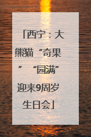 西宁：大熊猫“奇果”“园满”迎来9周岁生日会