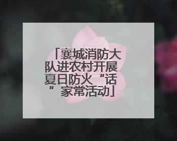 襄城消防大队进农村开展夏日防火“话”家常活动